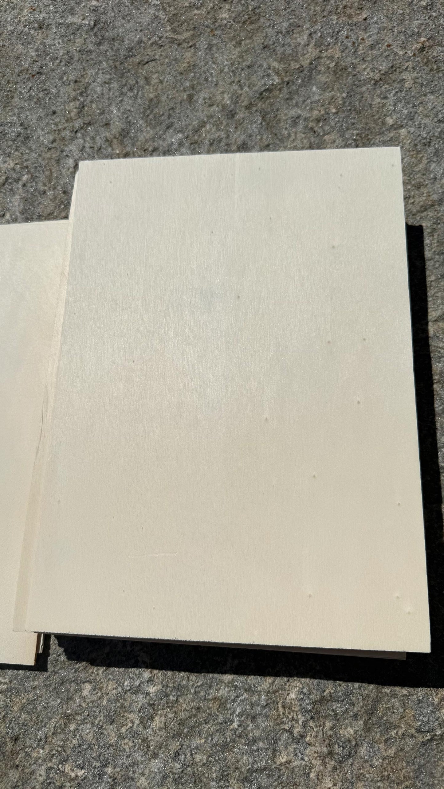 Pack Compensato in Pioppo per Laser, CNC e Modellismo - A4 (297x210 mm)
